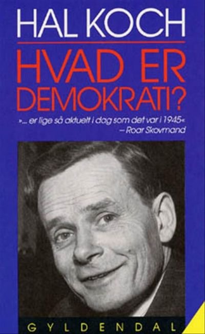 Hvad er demokrati?