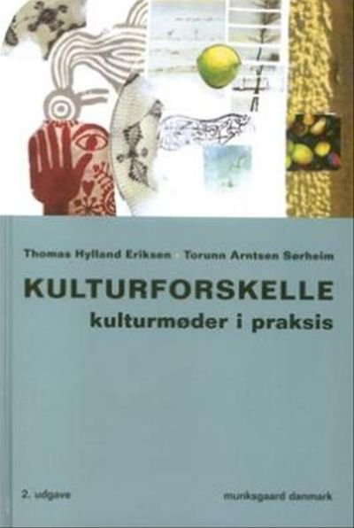 Kulturforskelle kulturmøder i praksis