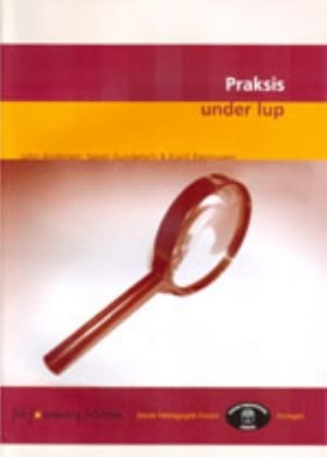 Praksis under lup