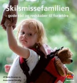 Skilsmissefamilien - gode råd og redskaber til forældre