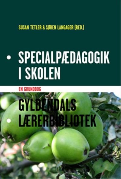 Specialpædagogik i skolen