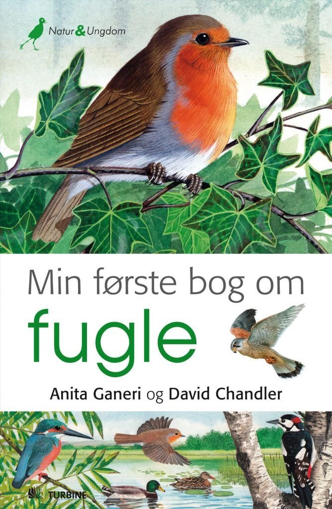 Min første bog om fugle-0