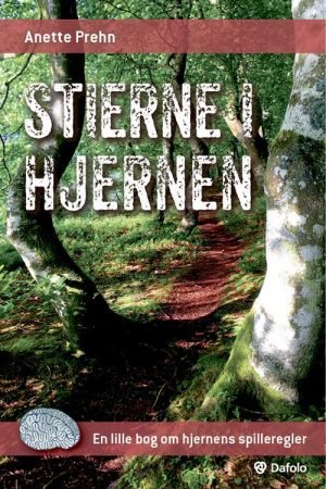 Stierne i hjernen