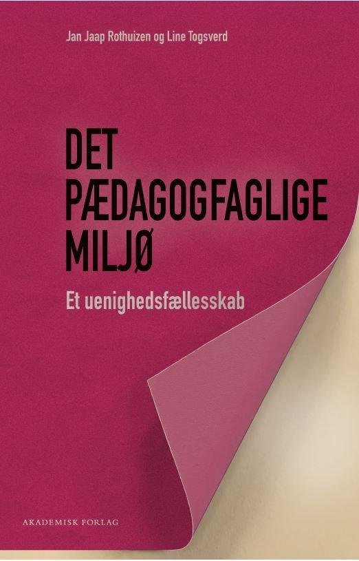 Det pædagogfaglige miljø